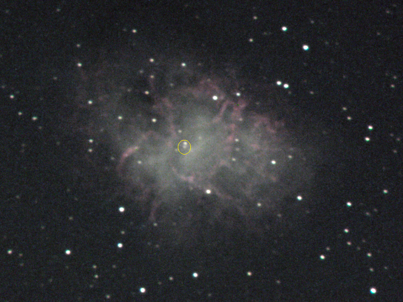 The approximate position of the Crab Nebula pulsar is marked by a circle.