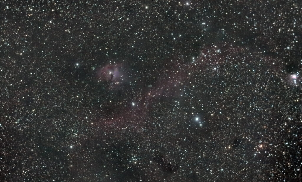 Seagull Nebula