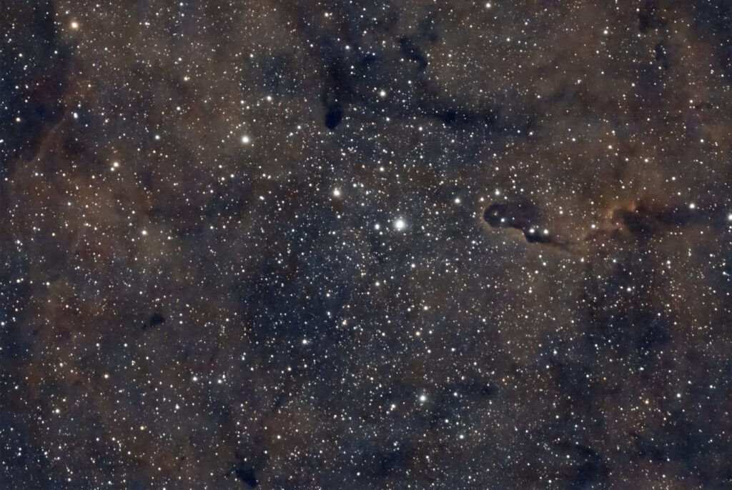 The Elephant's Trunk Nebula